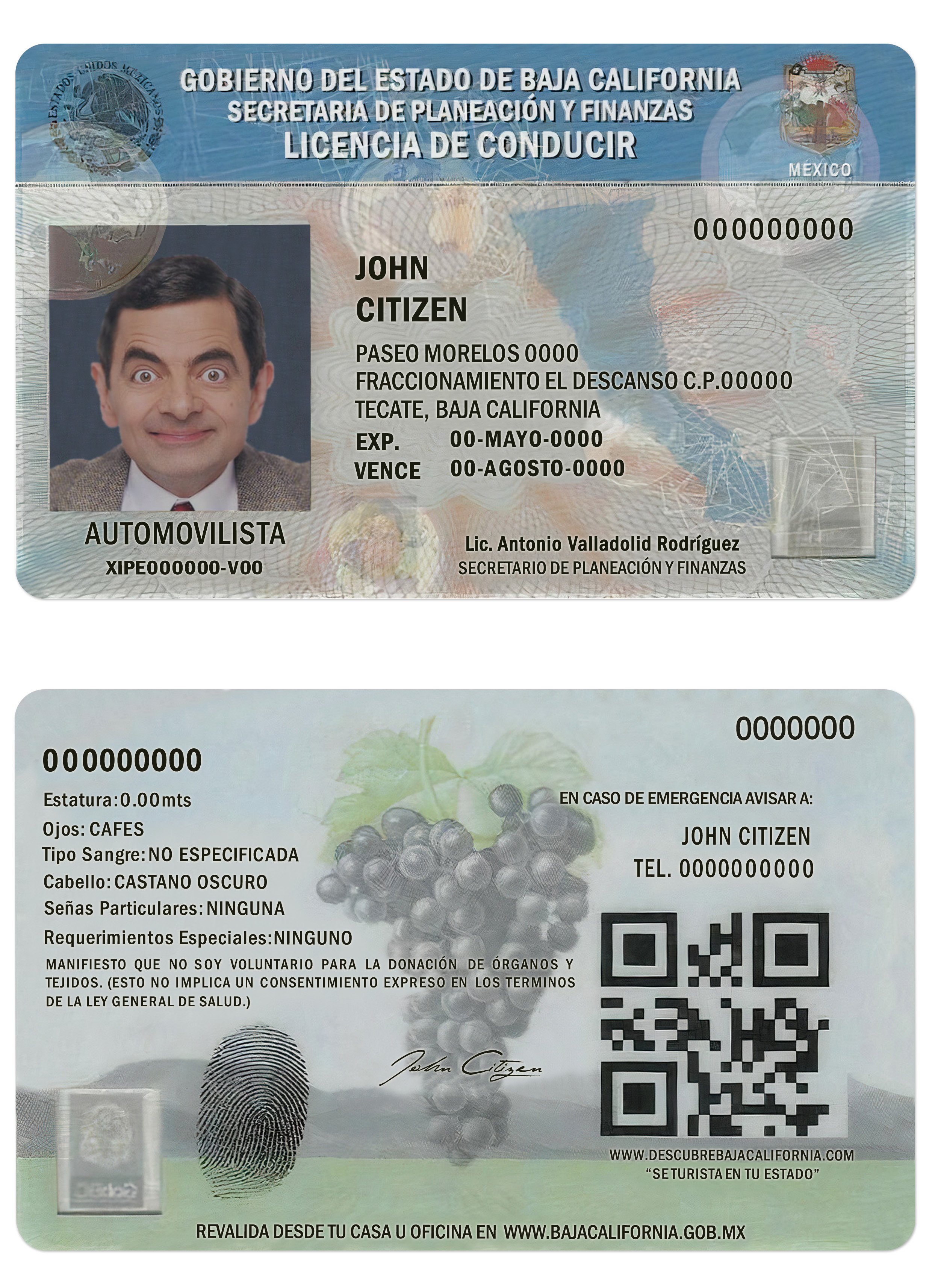 Mexico Baja California Driving License PSD